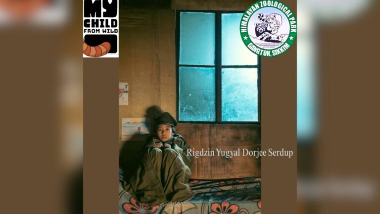 ‘Opang’ to be screened for ‘My Child From Wild’ fundraiser in Sikkim